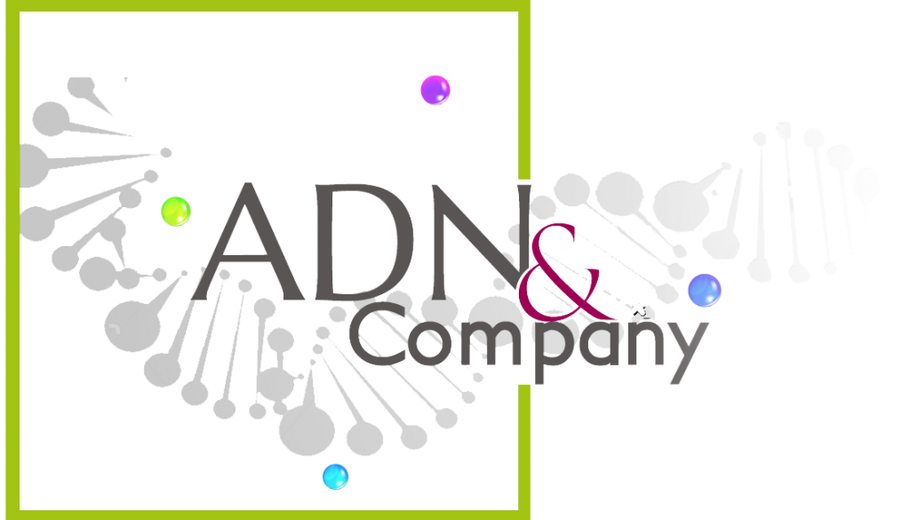 ADN&CO-logo