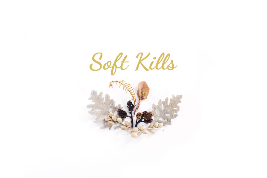soft kills adn company
