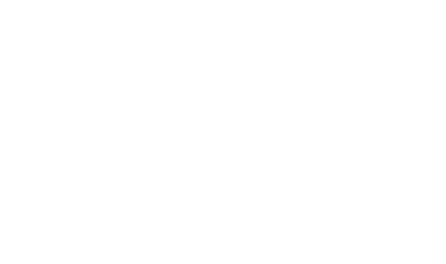 logo-adn-company