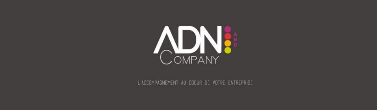 creation adn company